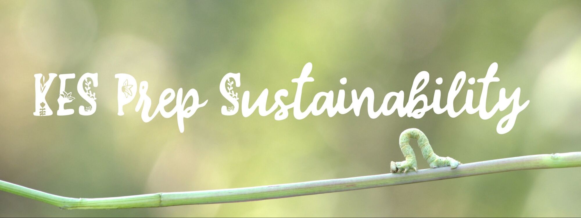 KES Prep Sustainability website banner